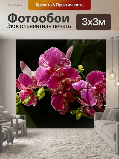 Фотообои Фиолетовый