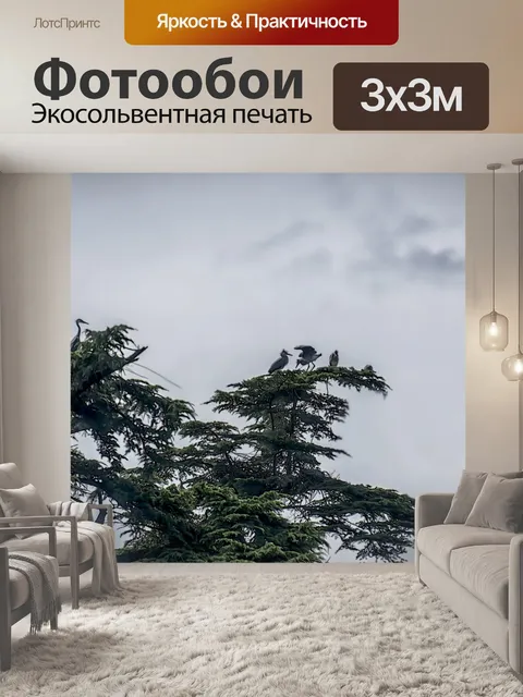 Фотообои Цапли