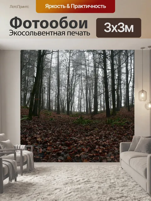 Фотообои Лес