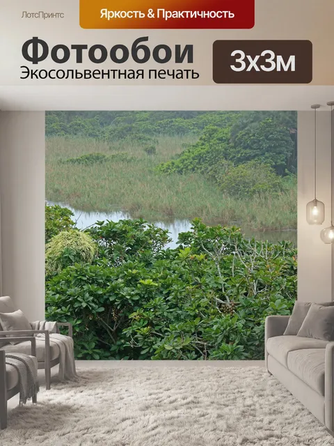 Фотообои вид на лагуну над растительностью