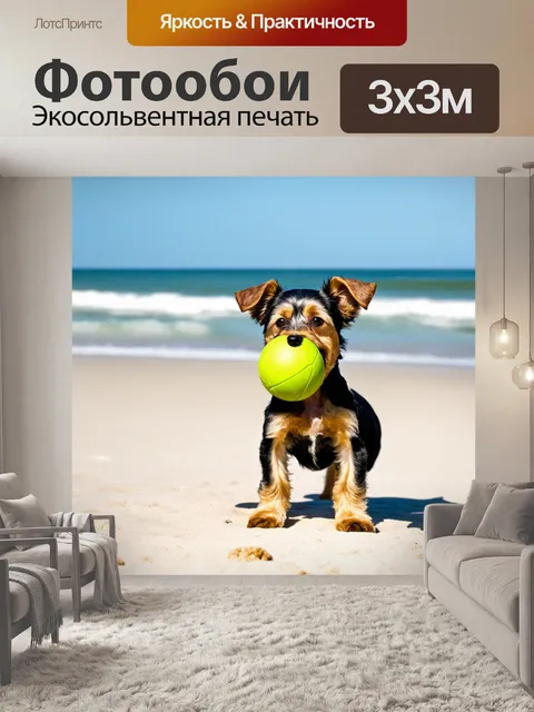 Фотообои щенок маленькой терьерной породы, веселый и игривый, с мячиком в зубах на пляже
