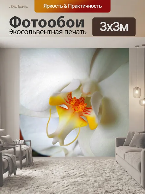 Фотообои Цветок