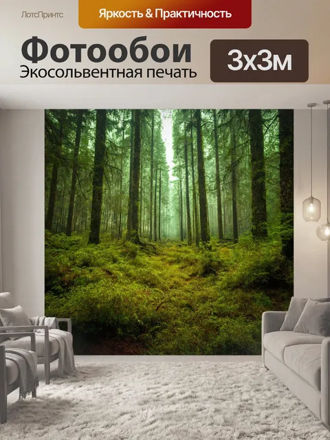 Фотообои лес с незабываемым пейзажем, от которого захватывает дух