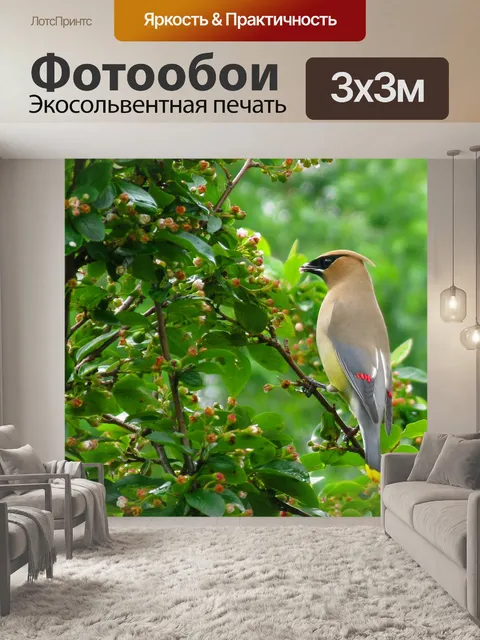 Фотообои Кедровый свиристель