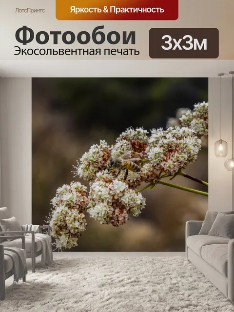 Фотообои Калифорнийская гречиха и пчела