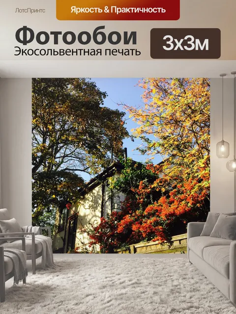Фотообои Осень