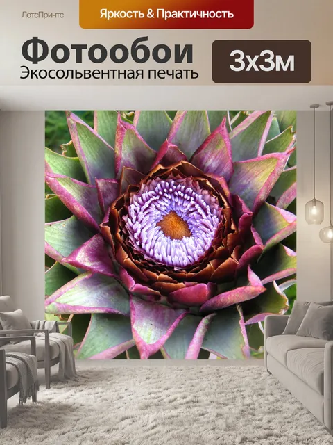 Фотообои Артишок