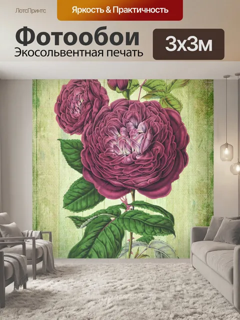 Фотообои Винтажный плакат с цветком розы