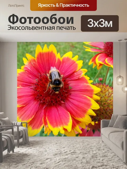 Фотообои Шмель на цветке