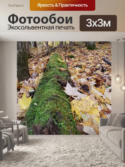 Фотообои Бревно покрыто мхом в осенних листьях