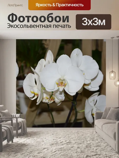 Фотообои Орхидея белый