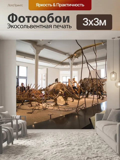 Фотообои Американский музей естественной истории