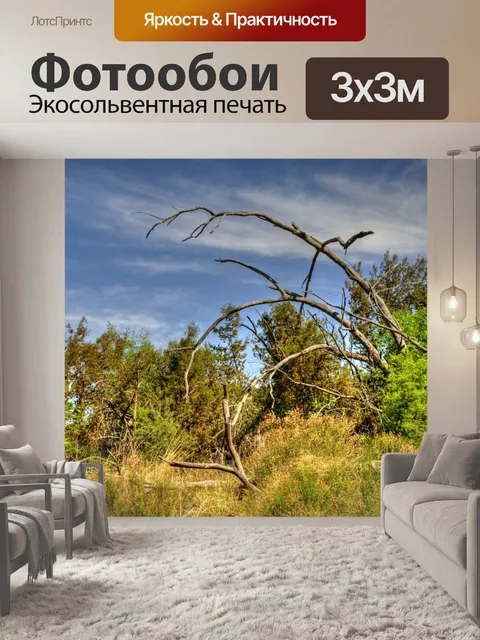Фотообои Сельское Загородное Ранчо