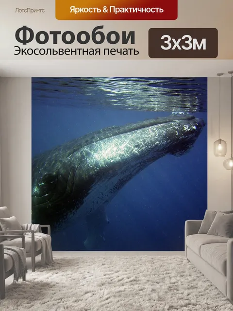 Фотообои Горбатый