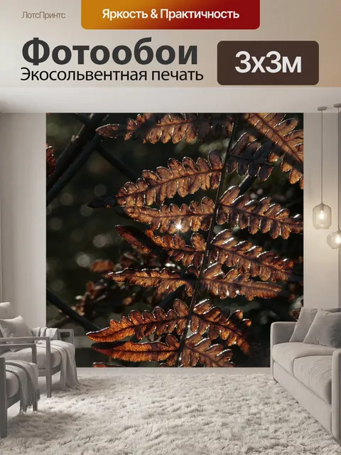 Фотообои Папоротник