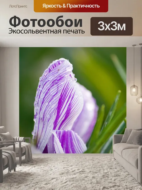 Фотообои Аннотация фиолетовый цветок