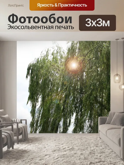 Фотообои Ива над плотиной с блик