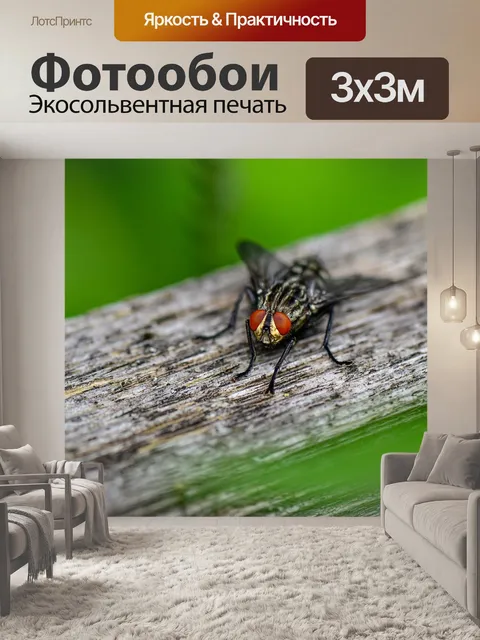 Фотообои Bluebottle
