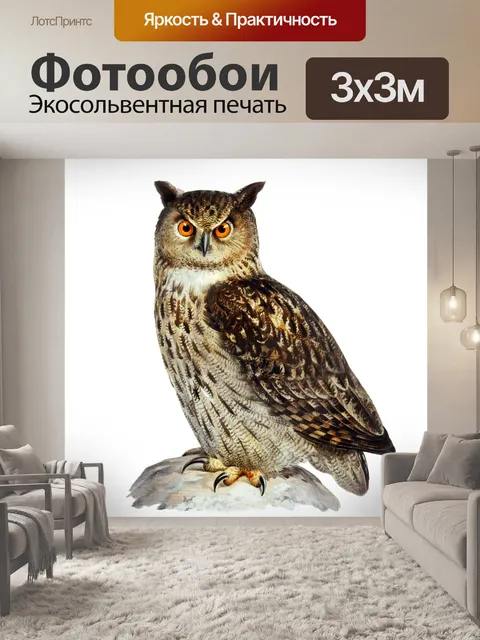 Фотообои Филин Винтаж клипарт искусство