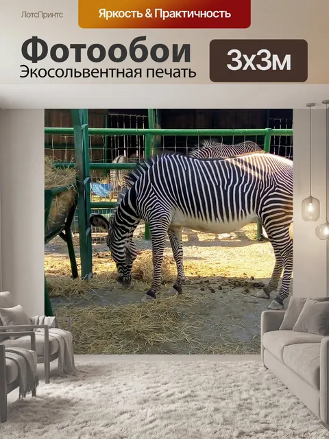 Фотообои Зебра