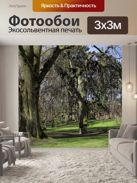 Фотообои Деревья в парке