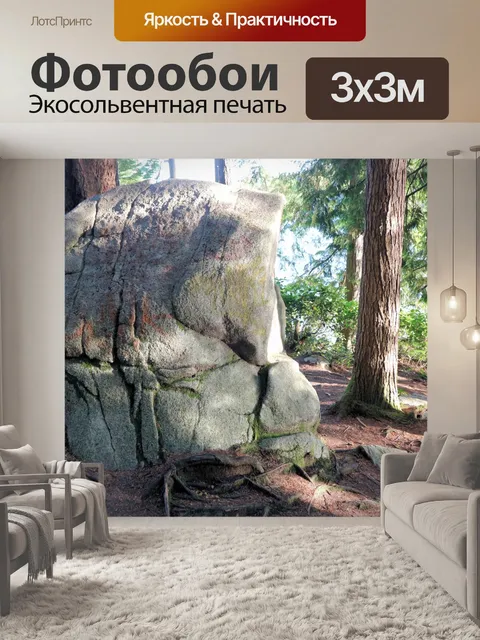 Фотообои большой валун
