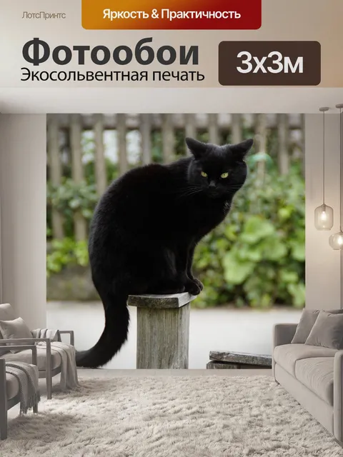 Фотообои Кот