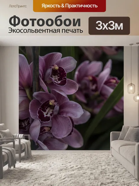 Фотообои Цимбидиум Орхидея