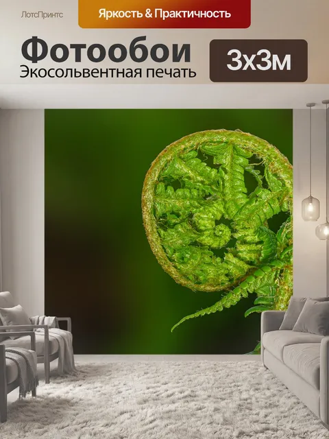Фотообои Fiddlehead
