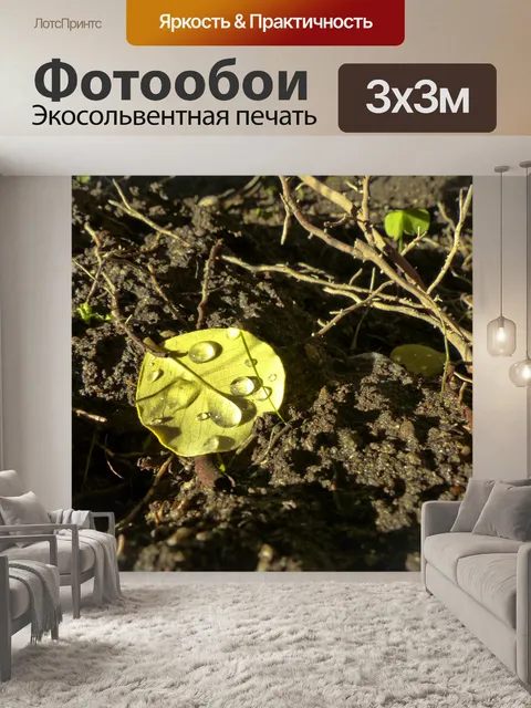 Фотообои Желтый лист и капли