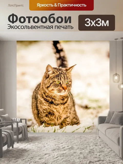 Фотообои Кот в снегу