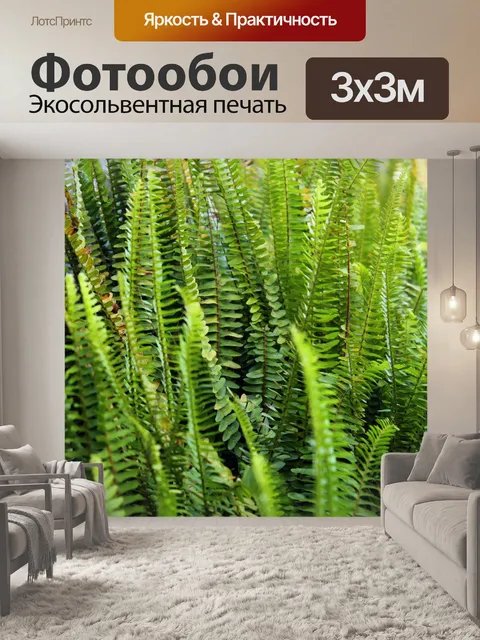 Фотообои папоротники