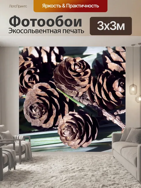 Фотообои Шишки