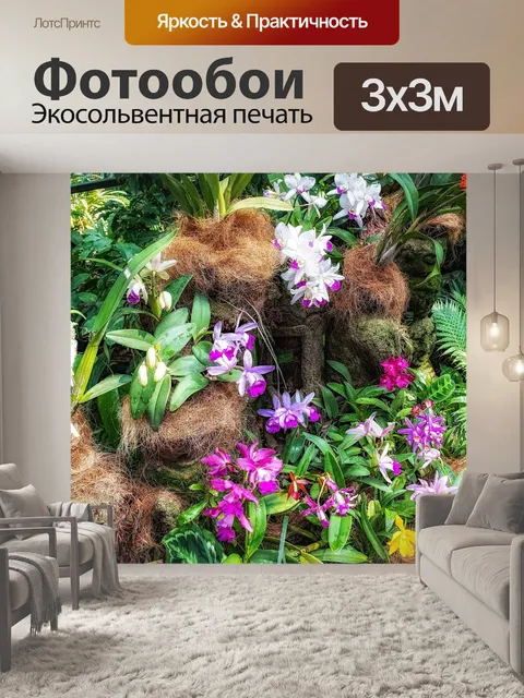 Фотообои Орхидея