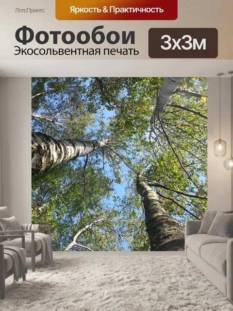 Фотообои Береза