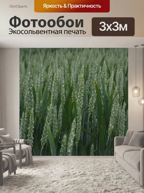 Фотообои Пшеничное поле