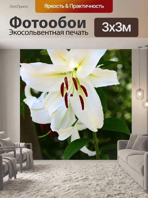 Фотообои Цветок