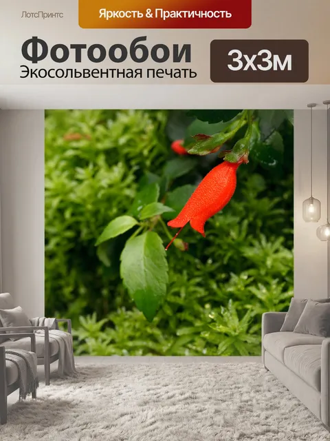 Фотообои красный цветок на зеленом фоне
