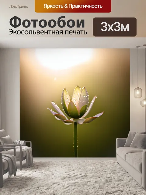 Фотообои бутон на фоне утреннего тумана, раскрывающийся к солнечным лучам, с каплями росы на лепестках