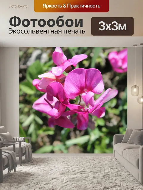 Фотообои Цветок