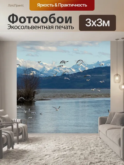 Фотообои Птица