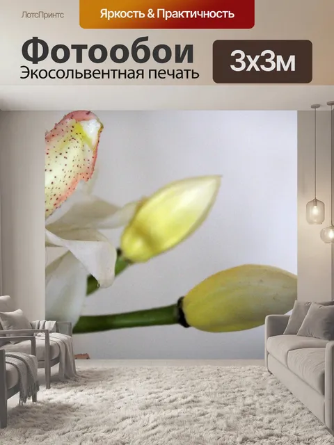 Фотообои Белая орхидея 5