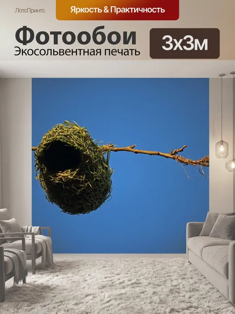 Фотообои Гнездо зеленого ткача на конце ветки