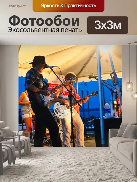 Фотообои Концерт