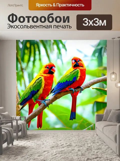 Фотообои яркие райские птицы на фоне тропического леса