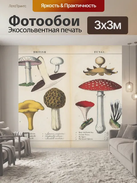 Фотообои Грибы винтажное искусство старое