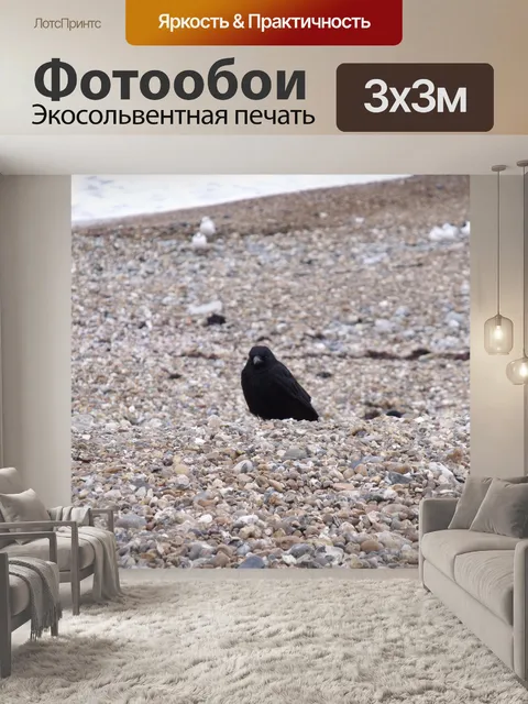 Фотообои Ворона на пляже