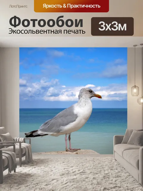 Фотообои Seagull