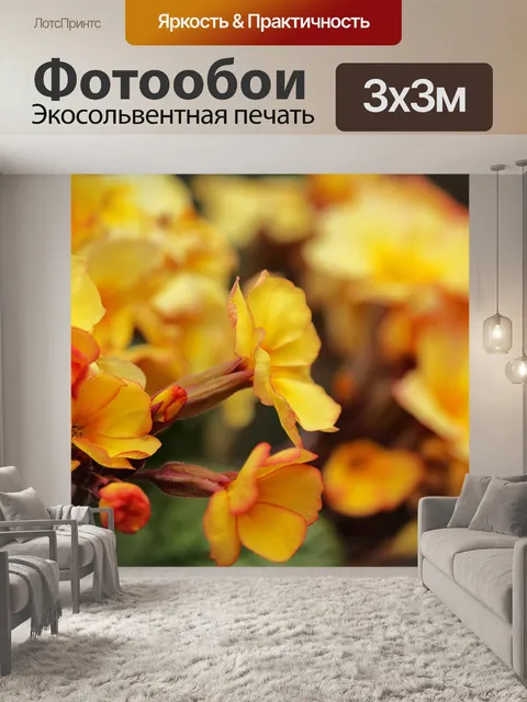 Фотообои Желтые примулы