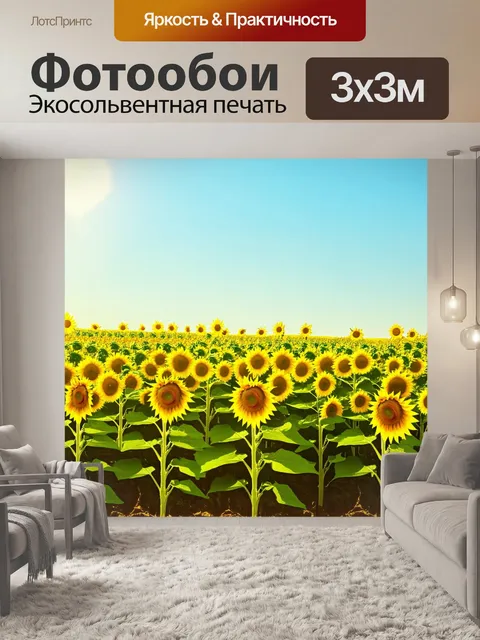 Фотообои летние поля, где светло-желтые подсолнечники обращены к солнцу, вырастают высоко